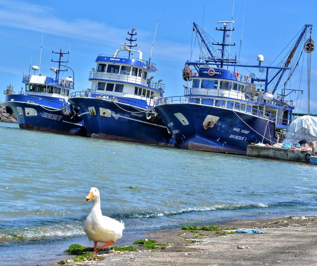 WhatsApp Image 2023-01-07 at 15.58.06