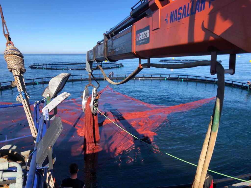 WhatsApp Image 2023-01-07 at 16.02.42 (1)