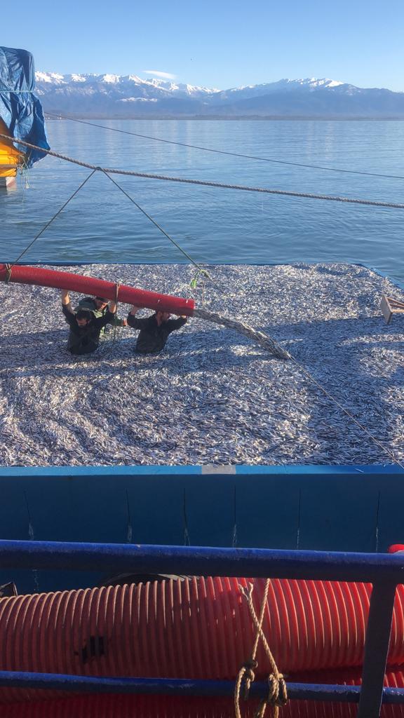 WhatsApp Image 2023-01-07 at 16.02.42 (2)