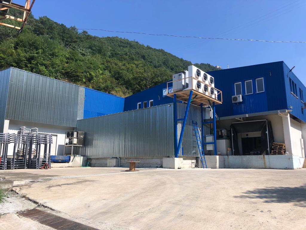 WhatsApp Image 2023-01-07 at 16.02.42 (3)