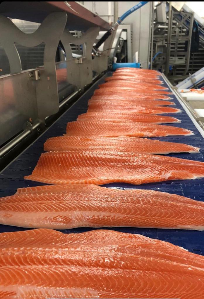 WhatsApp Image 2023-01-07 at 16.02.42 (6)