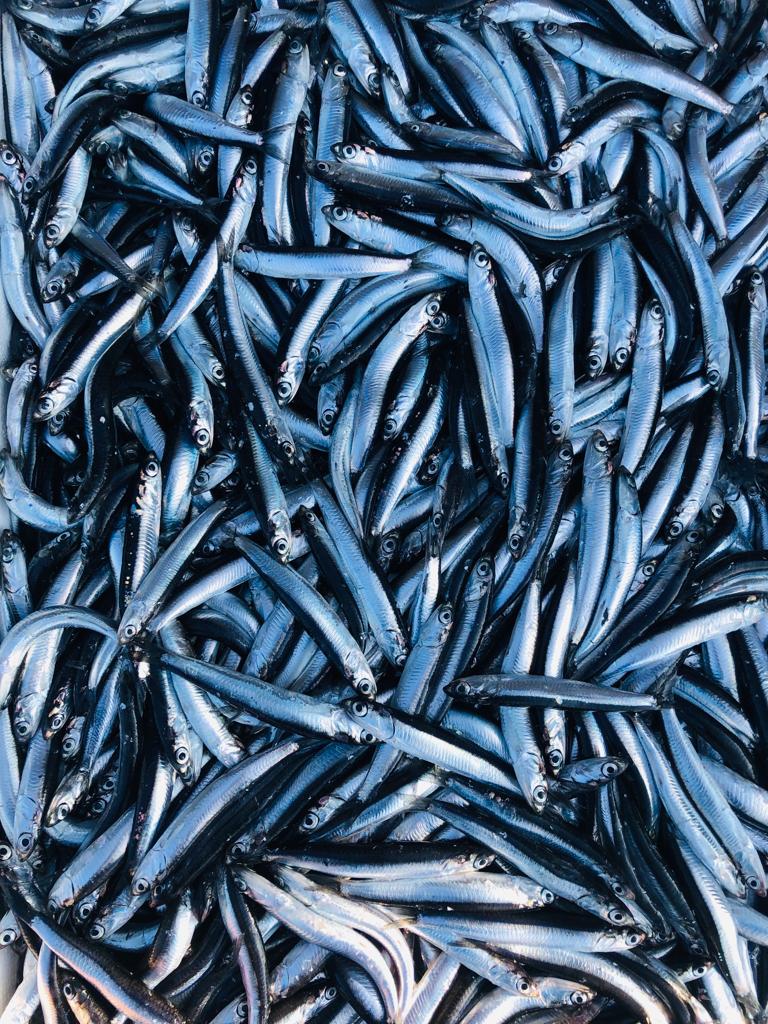 WhatsApp Image 2023-01-07 at 16.25.44 (3)