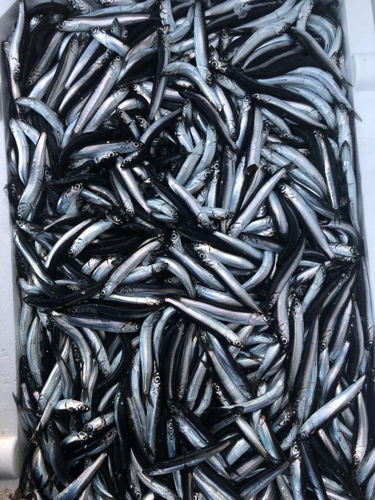 WhatsApp Image 2023-01-07 at 16.25.44